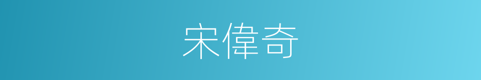 宋偉奇的同義詞