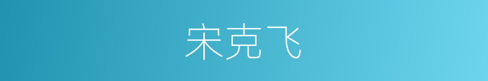 宋克飞的同义词