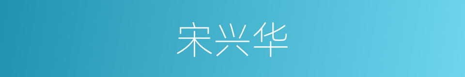 宋兴华的同义词