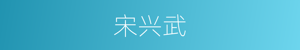 宋兴武的同义词