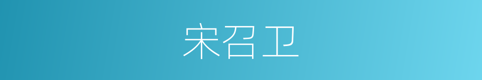 宋召卫的同义词