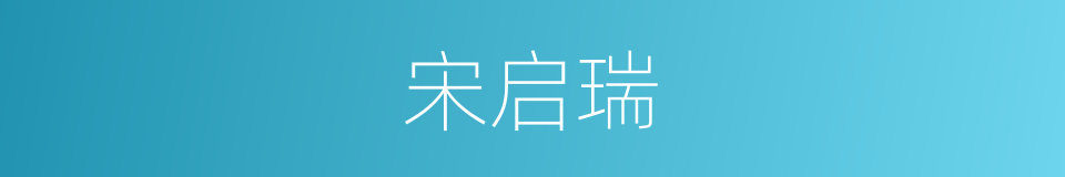 宋启瑞的同义词