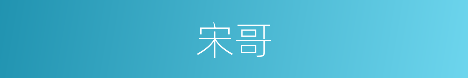 宋哥的同义词