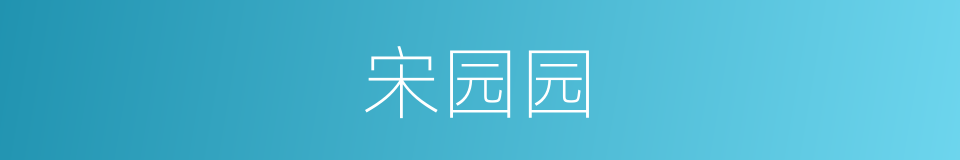 宋园园的同义词