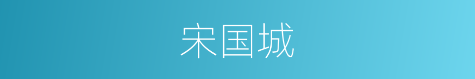 宋国城的同义词