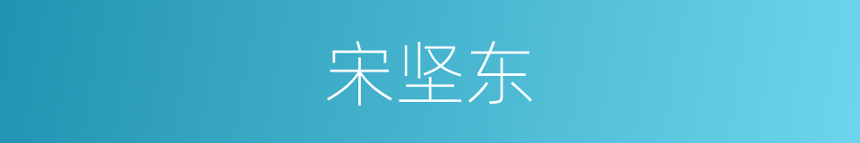 宋坚东的同义词