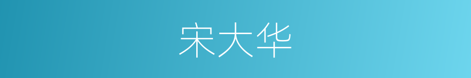 宋大华的同义词