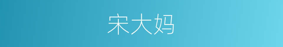 宋大妈的同义词