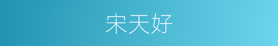 宋天好的同义词