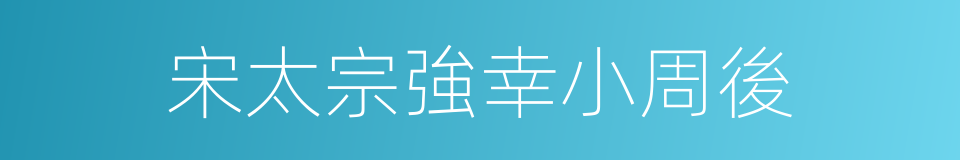 宋太宗強幸小周後的同義詞