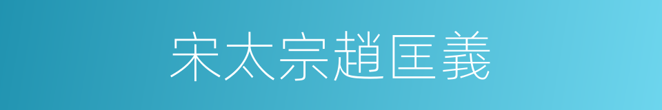 宋太宗趙匡義的同義詞