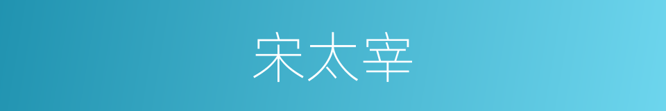 宋太宰的同义词