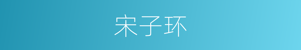 宋子环的同义词