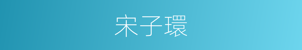 宋子環的同義詞