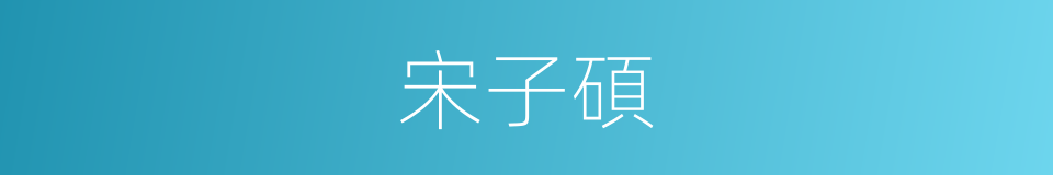 宋子碩的同義詞