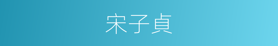 宋子貞的同義詞
