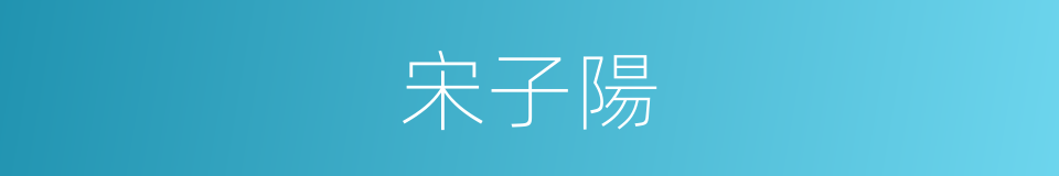 宋子陽的同義詞