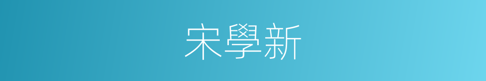 宋學新的同義詞