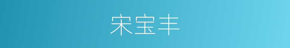 宋宝丰的同义词