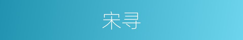 宋寻的同义词