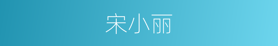 宋小丽的同义词