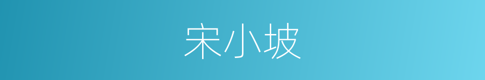 宋小坡的同义词