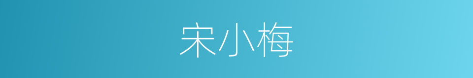 宋小梅的同义词