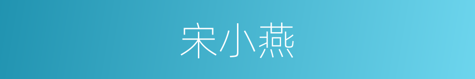宋小燕的同义词