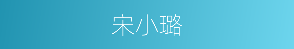 宋小璐的同义词