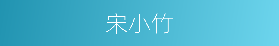 宋小竹的同义词