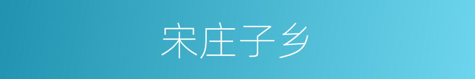 宋庄子乡的同义词