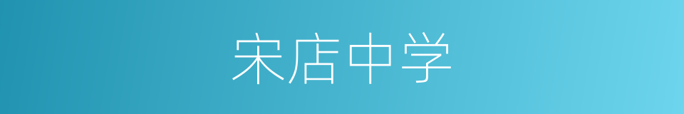 宋店中学的同义词