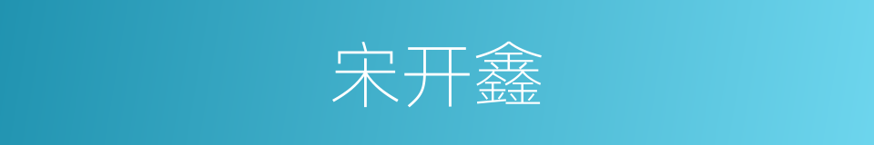 宋开鑫的同义词