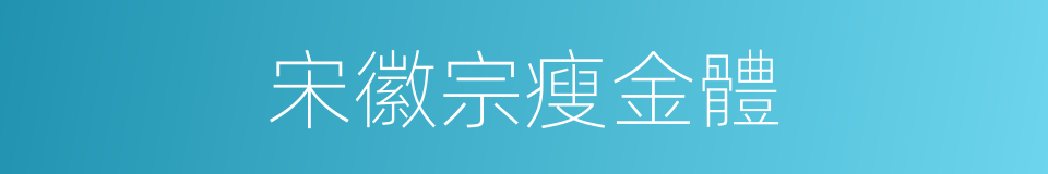 宋徽宗瘦金體的同義詞