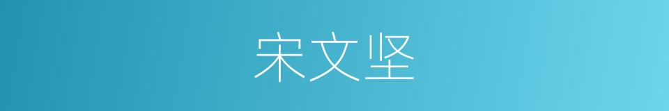 宋文坚的同义词
