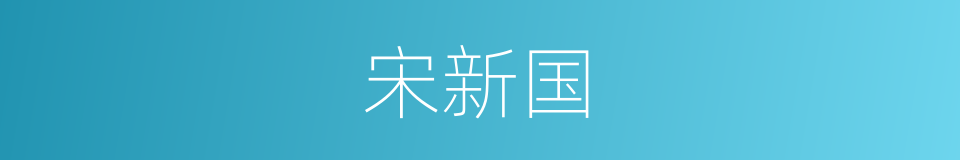 宋新国的同义词