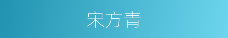 宋方青的同义词