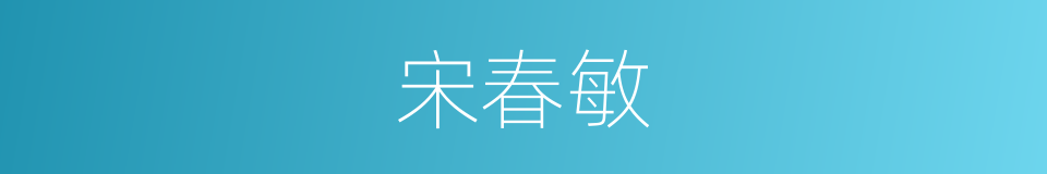 宋春敏的同义词