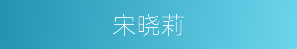 宋晓莉的同义词