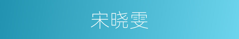 宋晓雯的同义词