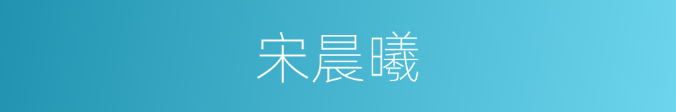 宋晨曦的同义词