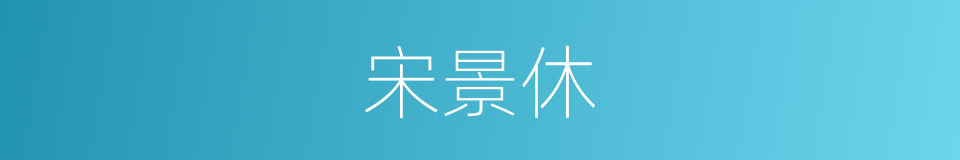 宋景休的同义词