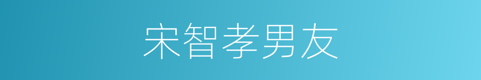 宋智孝男友的同义词