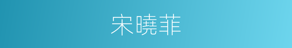 宋曉菲的同義詞