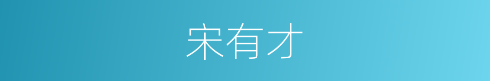 宋有才的同义词