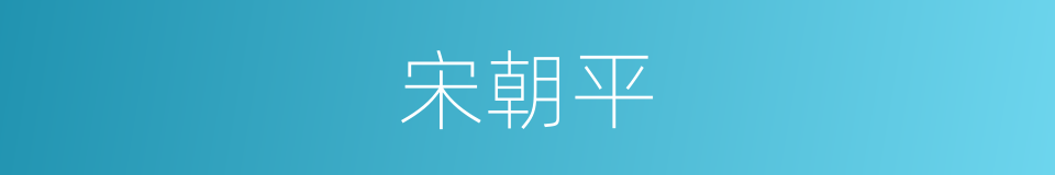 宋朝平的同义词