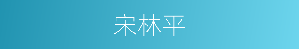 宋林平的同义词