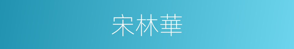 宋林華的同義詞