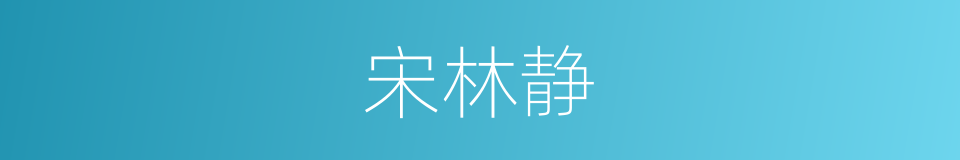 宋林静的同义词