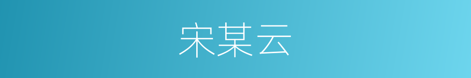 宋某云的同义词